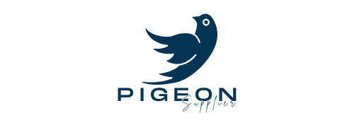 Pigeon
